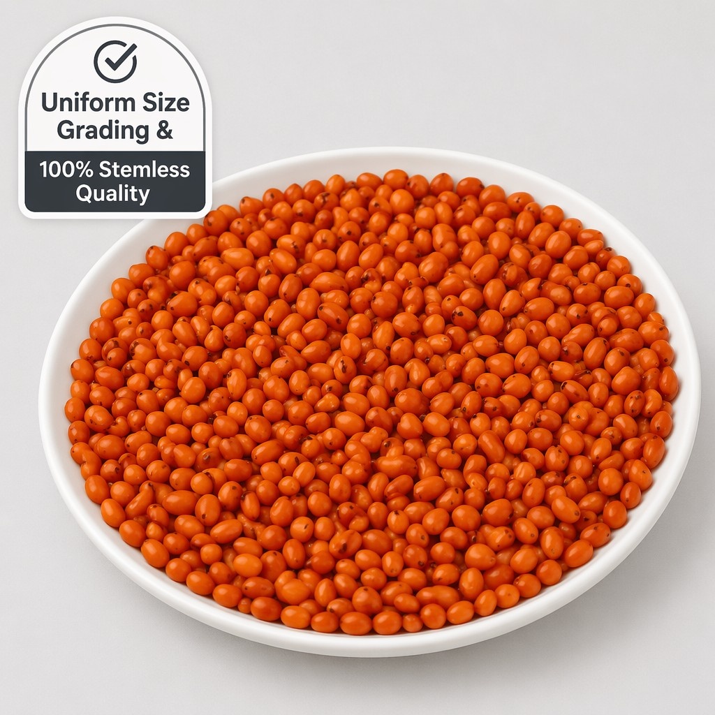 Frozen Sea Buckthorn - Image 3