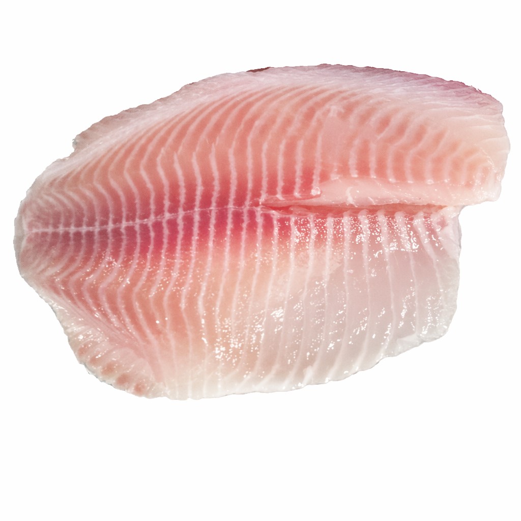 Frozen Tilapia Fillet