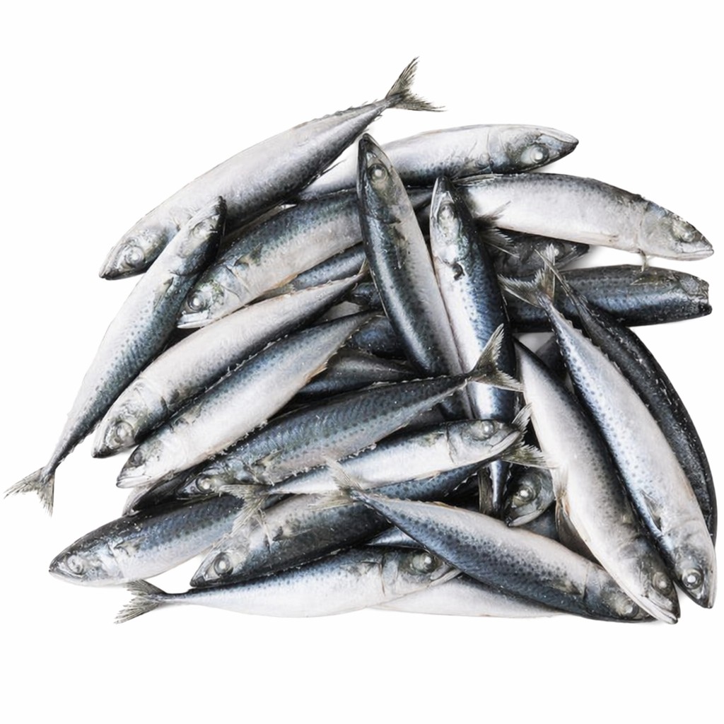 Frozen Mackerel
