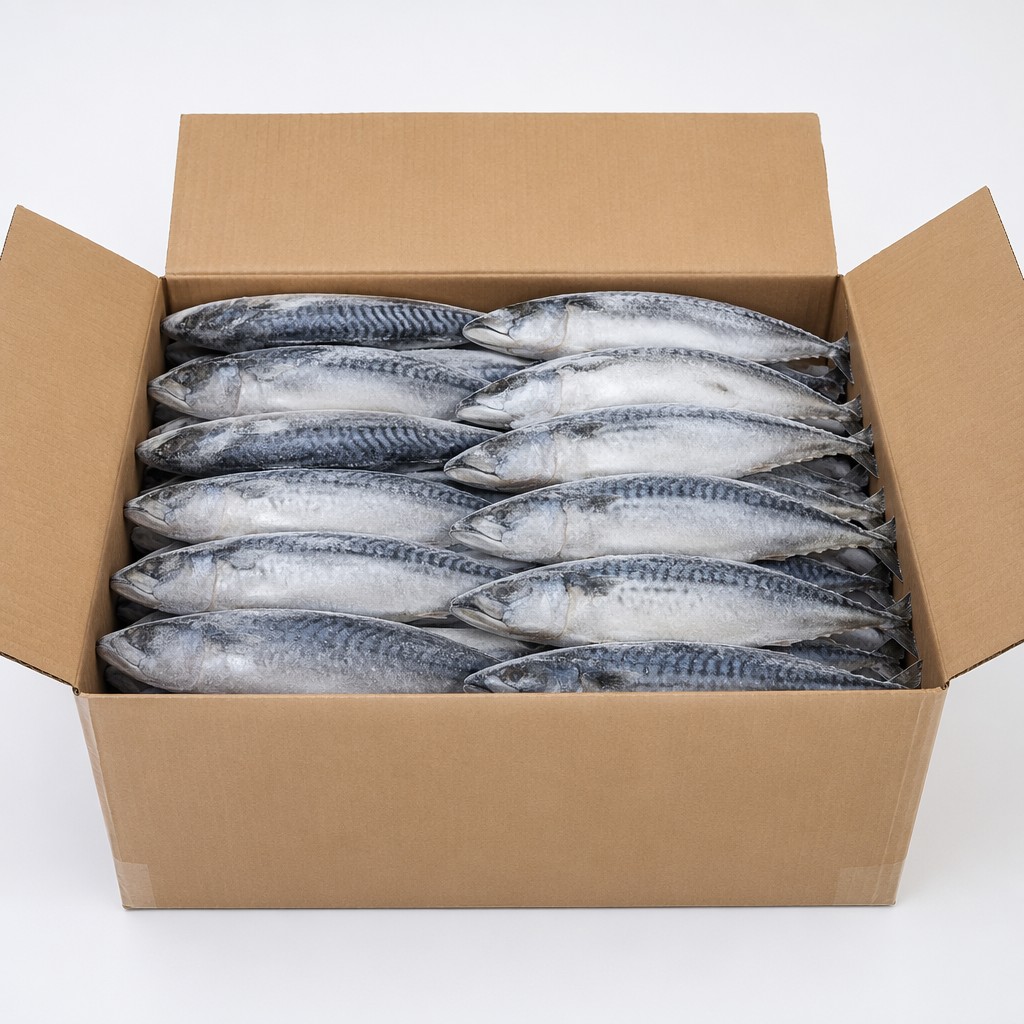 Frozen Mackerel - Image 2