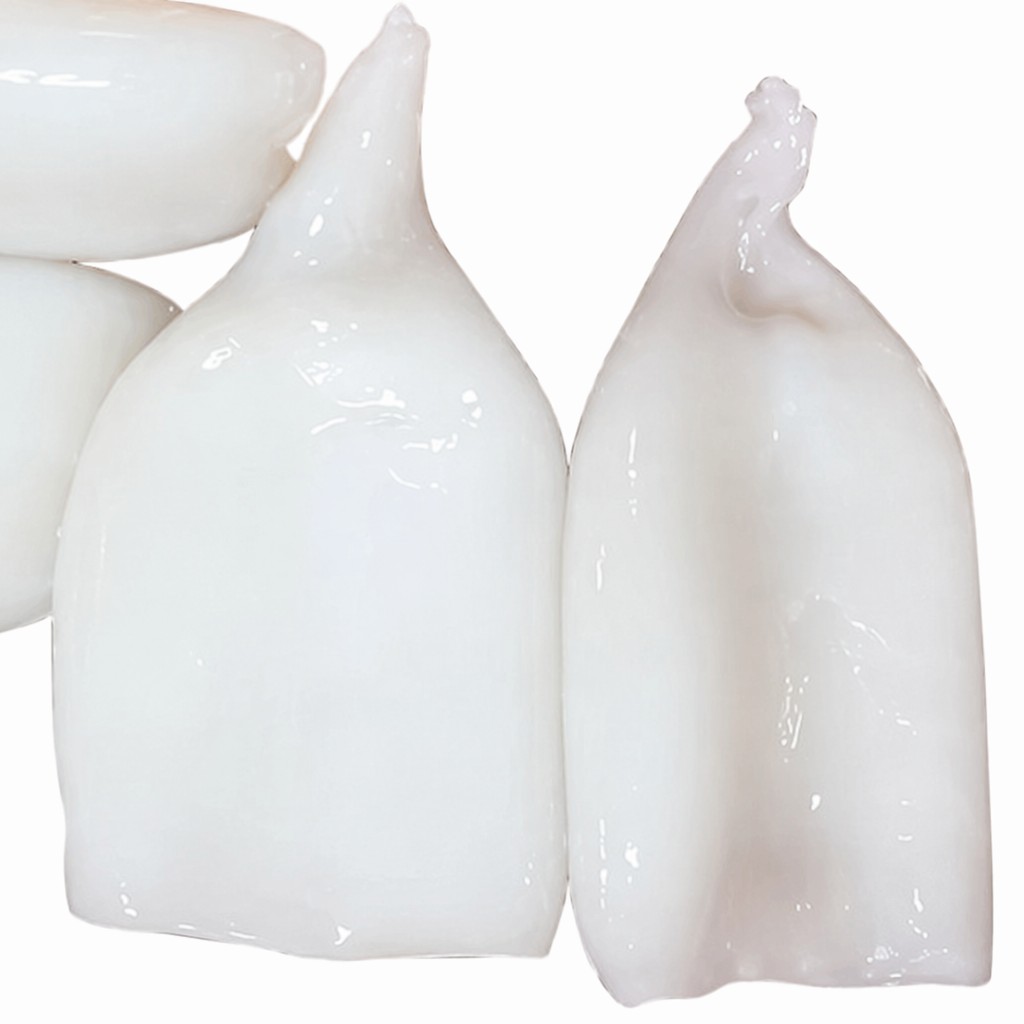 Frozen Squid Tube