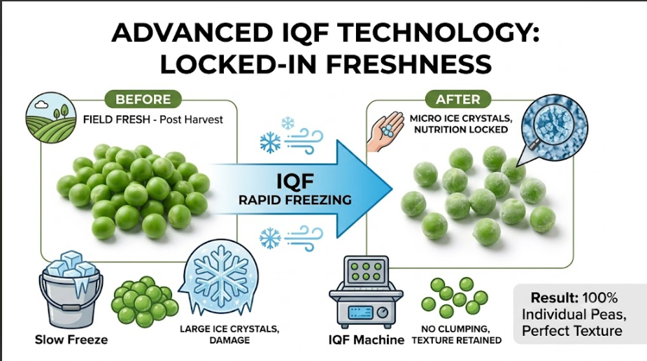 Frozen Green Peas - Image 3